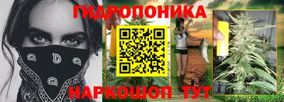 ECSTASY Чебоксары