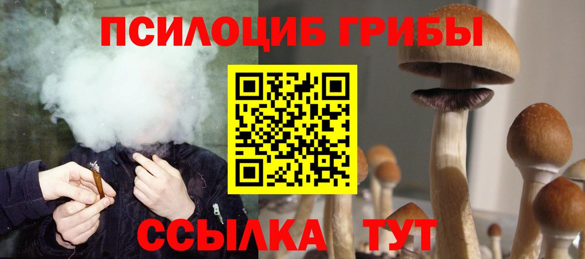Псилоцибиновые грибы Psilocybine cubensis Богородицк